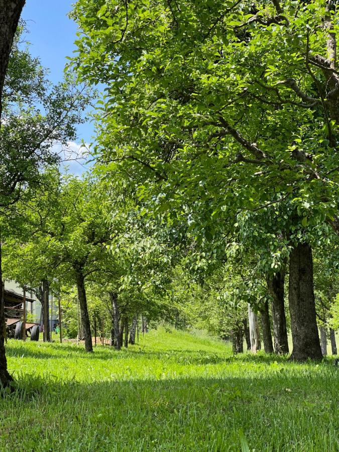 Ferienwohnung Mahar Feistritz im Rosental エクステリア 写真
